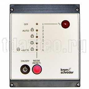 Крышка BCU 300 THP-GW для RGA GAS (N50260444)